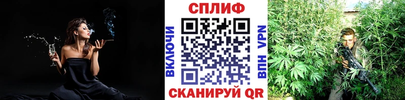 Марихуана сатива  Аша 